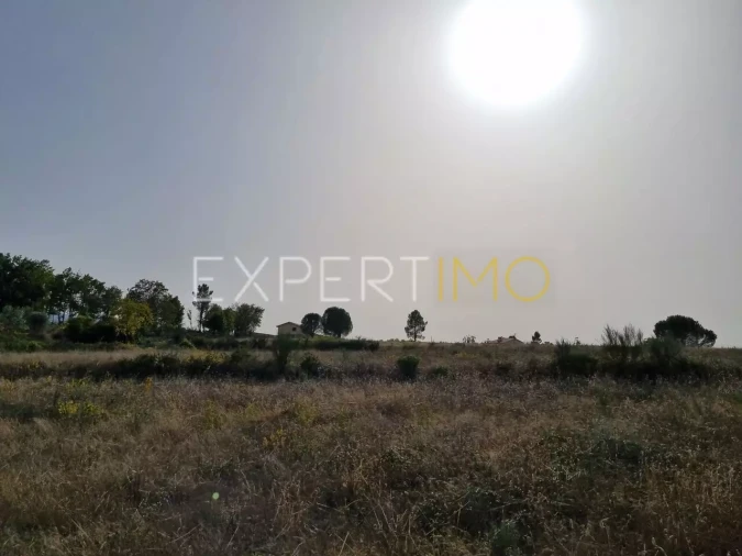 Terreno para Venda em Moimenta da Serra e Vinhó Foto 21