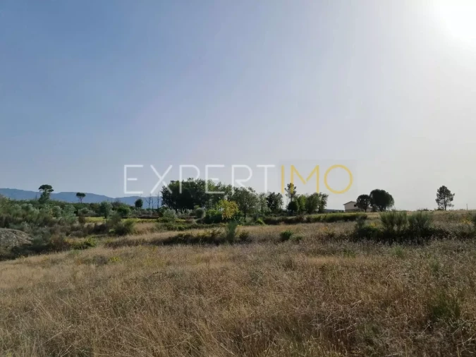 Terreno para Venda em Moimenta da Serra e Vinhó Foto 23