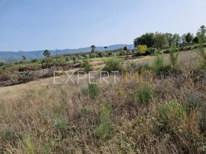 Terreno para Venda em Moimenta da Serra e Vinhó Foto 25