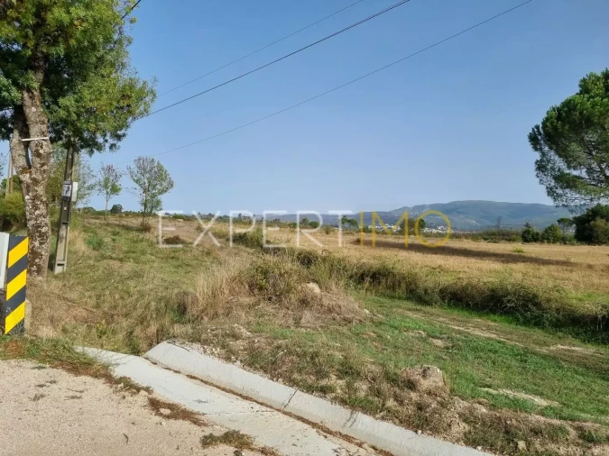 Terreno para Venda em Moimenta da Serra e Vinhó Foto 6