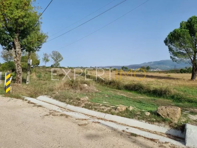 Terreno para Venda em Moimenta da Serra e Vinhó Foto 7