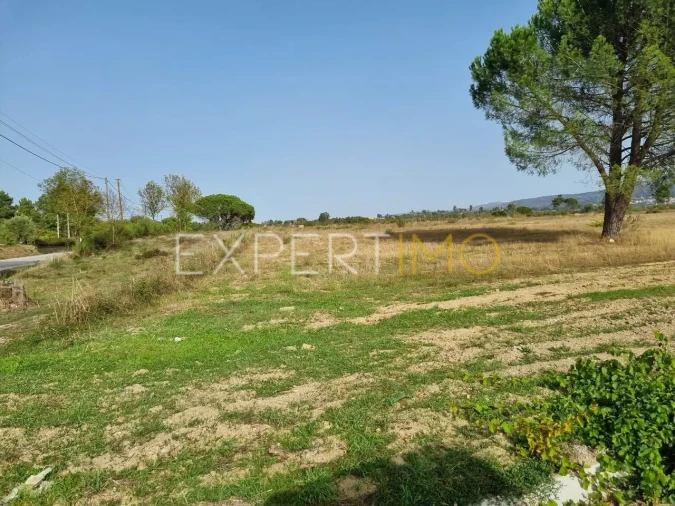 Terreno para Venda em Moimenta da Serra e Vinhó Foto 8
