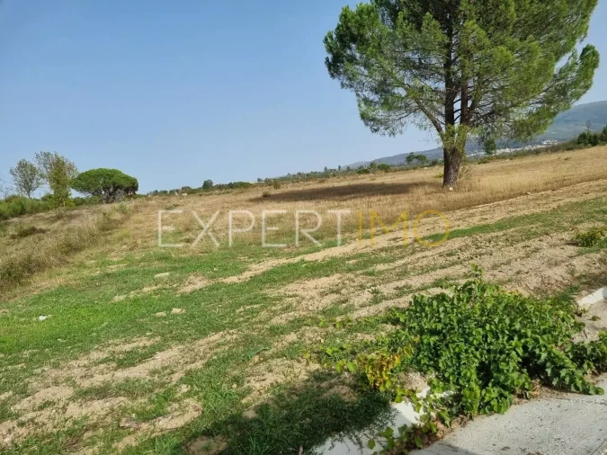 Terreno para Venda em Moimenta da Serra e Vinhó Foto 9