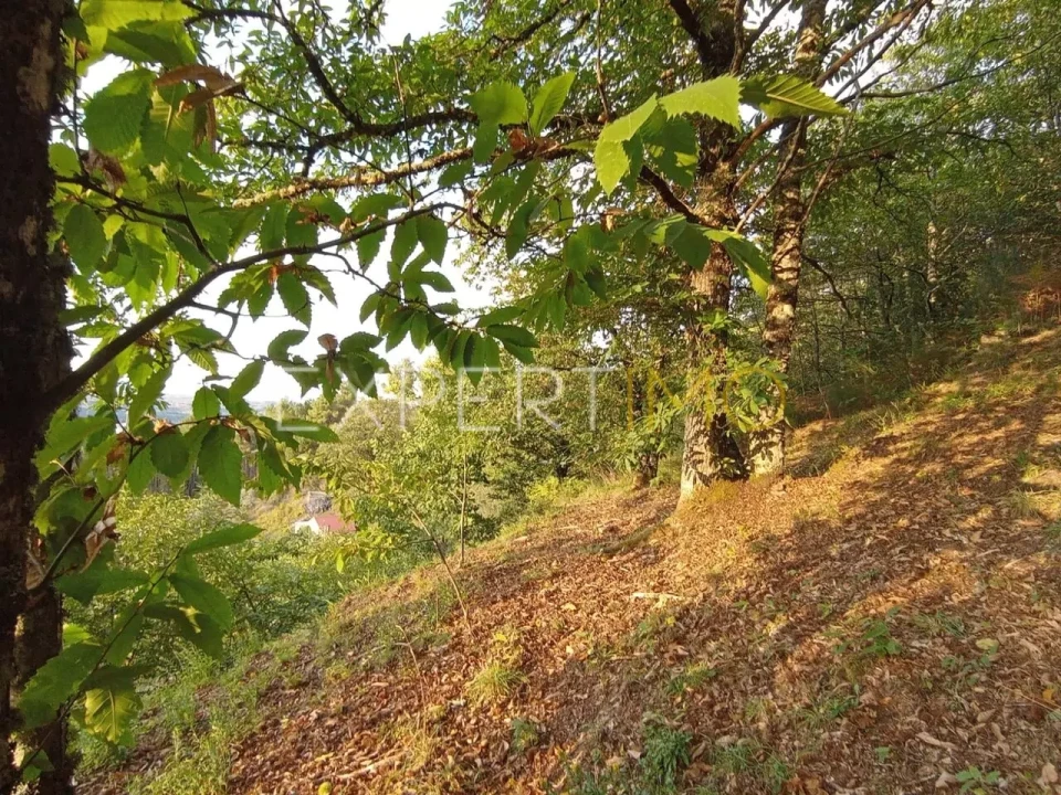 Terreno para Venda em Seia, São Romão e Lapa dos Dinheiros Foto 11