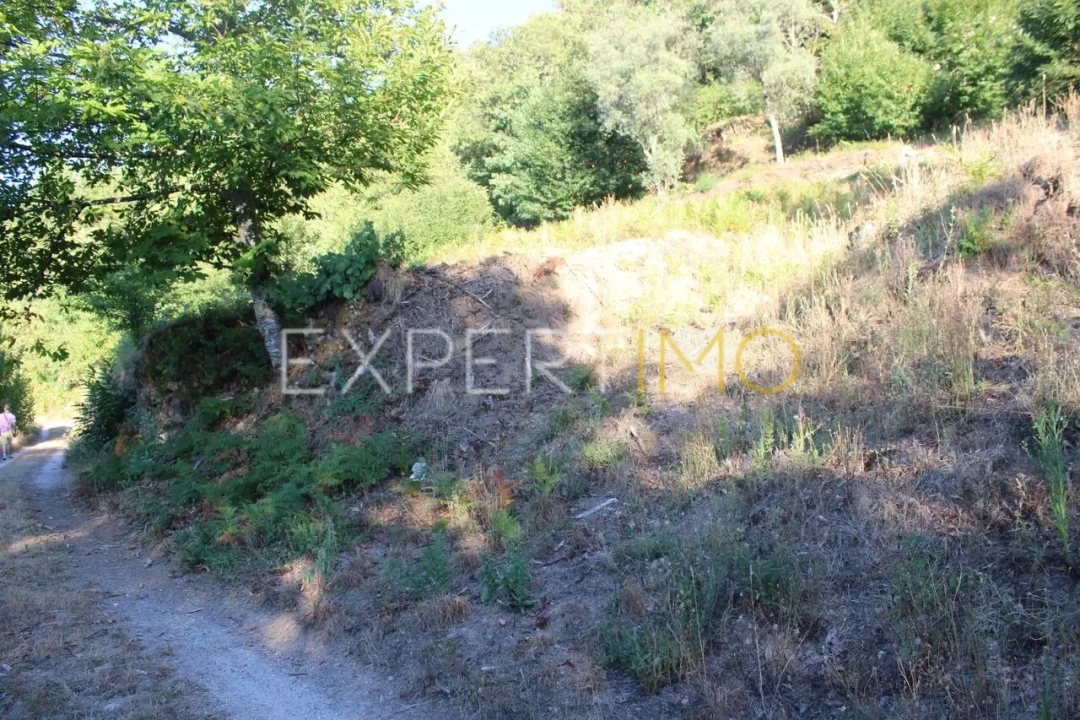 Terreno para Venda em Seia, São Romão e Lapa dos Dinheiros Foto 13