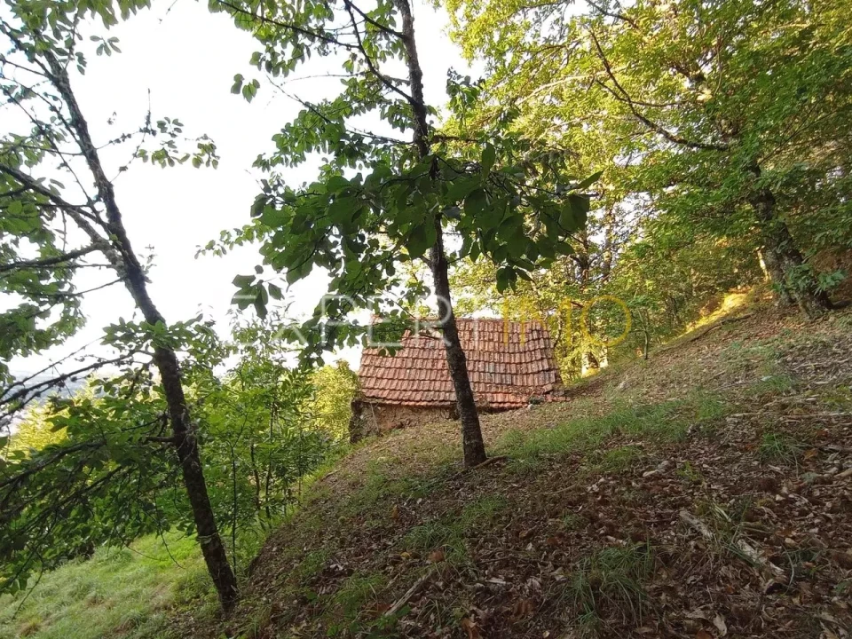 Terreno para Venda em Seia, São Romão e Lapa dos Dinheiros Foto 15