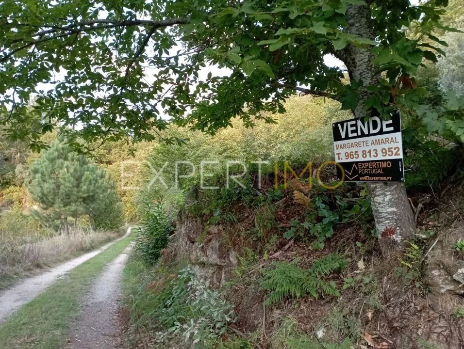 Terreno para Venda em Seia, São Romão e Lapa dos Dinheiros Foto 16