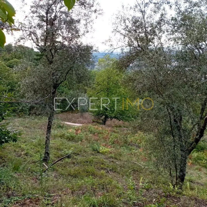 Terreno para Venda em Seia, São Romão e Lapa dos Dinheiros Foto 17