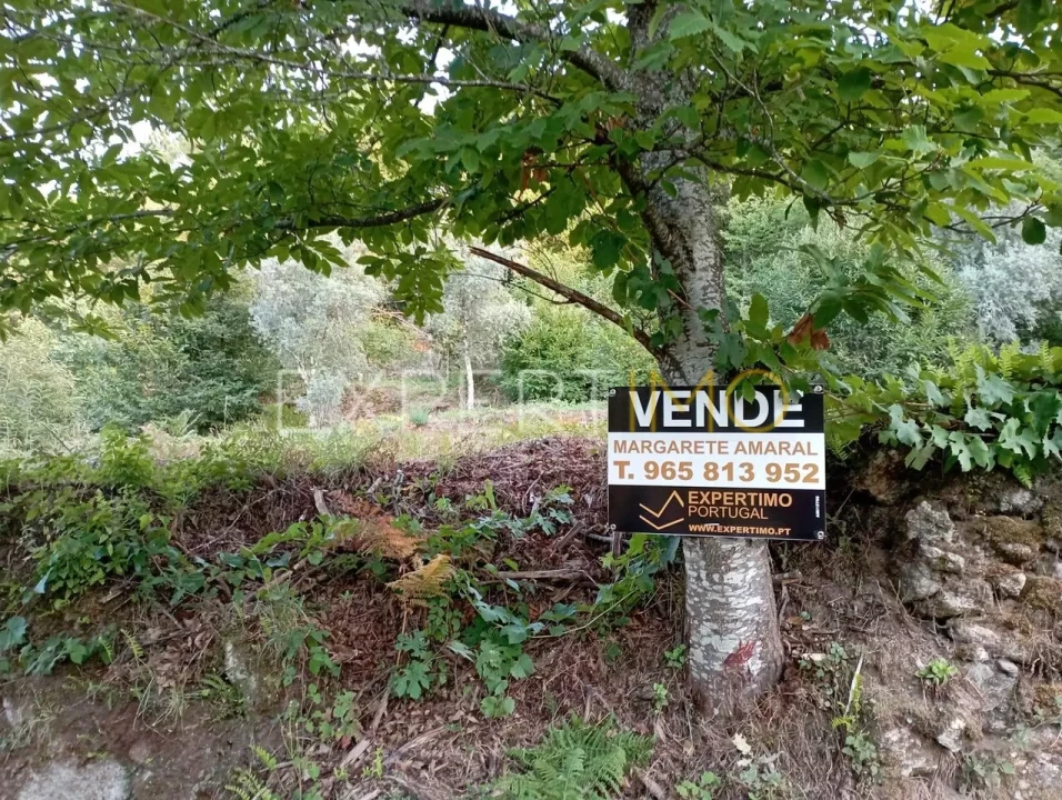 Terreno para Venda em Seia, São Romão e Lapa dos Dinheiros Foto 18