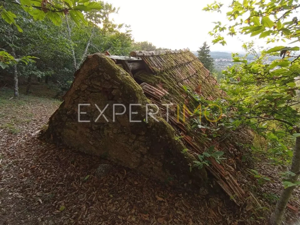 Terreno para Venda em Seia, São Romão e Lapa dos Dinheiros Foto 5
