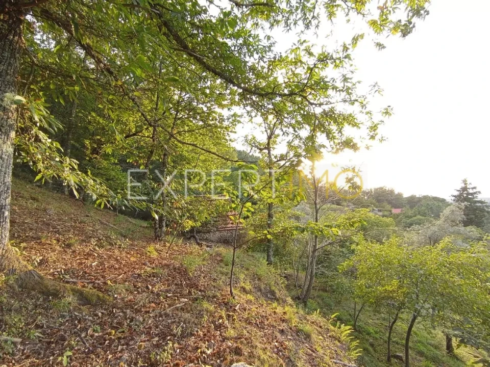 Terreno para Venda em Seia, São Romão e Lapa dos Dinheiros Foto 9