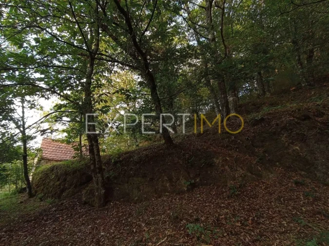Terreno para Venda em Seia, São Romão e Lapa dos Dinheiros Foto 14