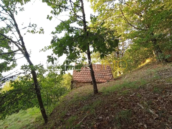 Terreno para Venda em Seia, São Romão e Lapa dos Dinheiros Foto 15