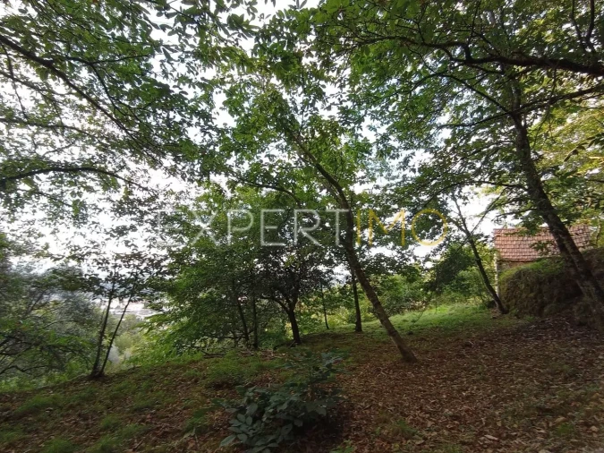 Terreno para Venda em Seia, São Romão e Lapa dos Dinheiros Foto 2