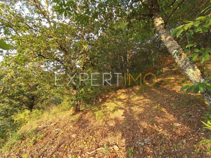 Terreno para Venda em Seia, São Romão e Lapa dos Dinheiros Foto 20