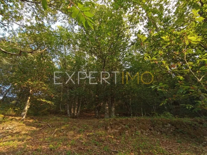 Terreno para Venda em Seia, São Romão e Lapa dos Dinheiros Foto 21