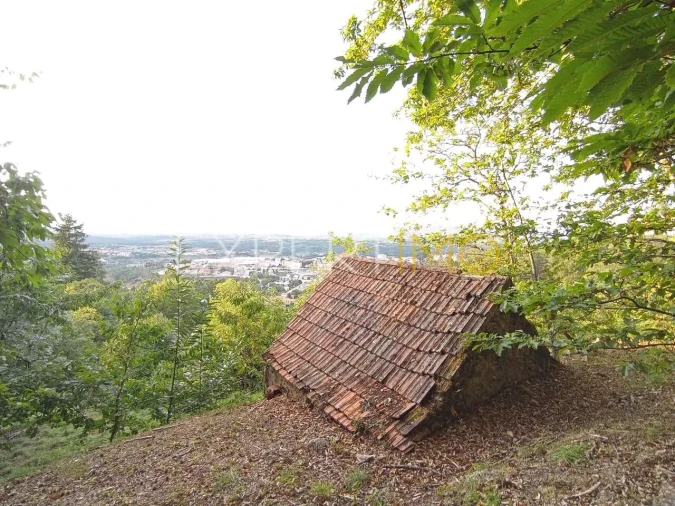 Terreno para Venda em Seia, São Romão e Lapa dos Dinheiros Foto 3