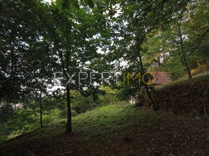 Terreno para Venda em Seia, São Romão e Lapa dos Dinheiros Foto 4