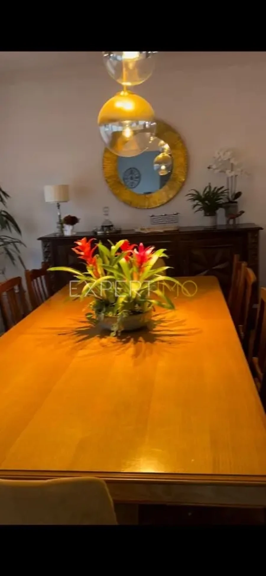 Moradia T5 para Venda em Figueiró da Serra e Freixo da Serra Foto 16