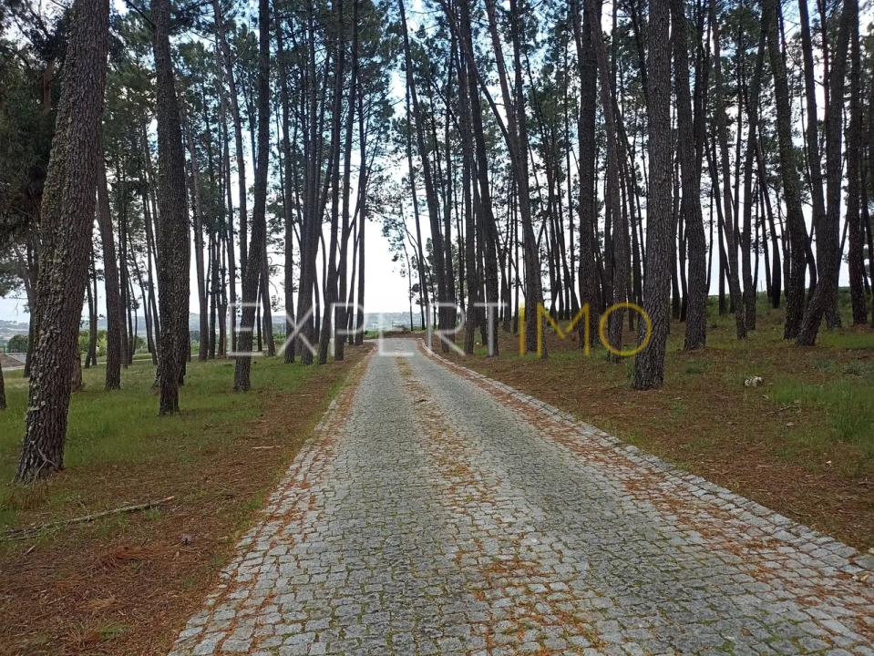 Moradia T8 para Venda em Caria Foto 12