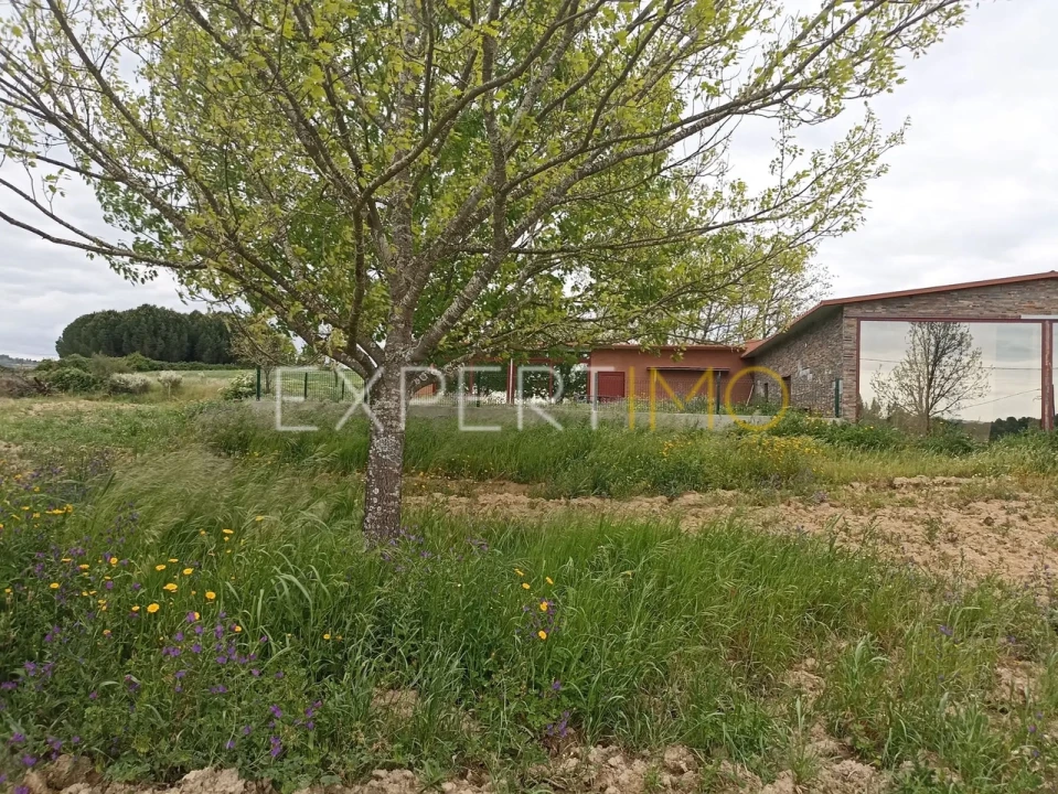 Moradia T8 para Venda em Caria Foto 26