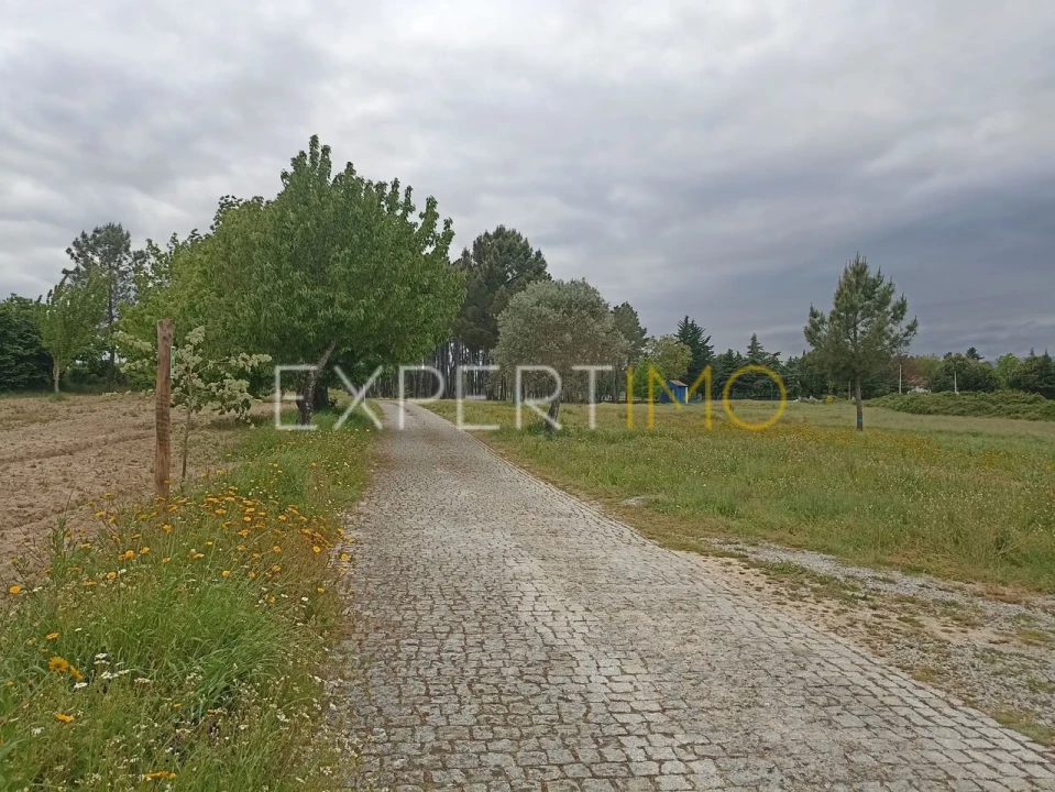 Moradia T8 para Venda em Caria Foto 30