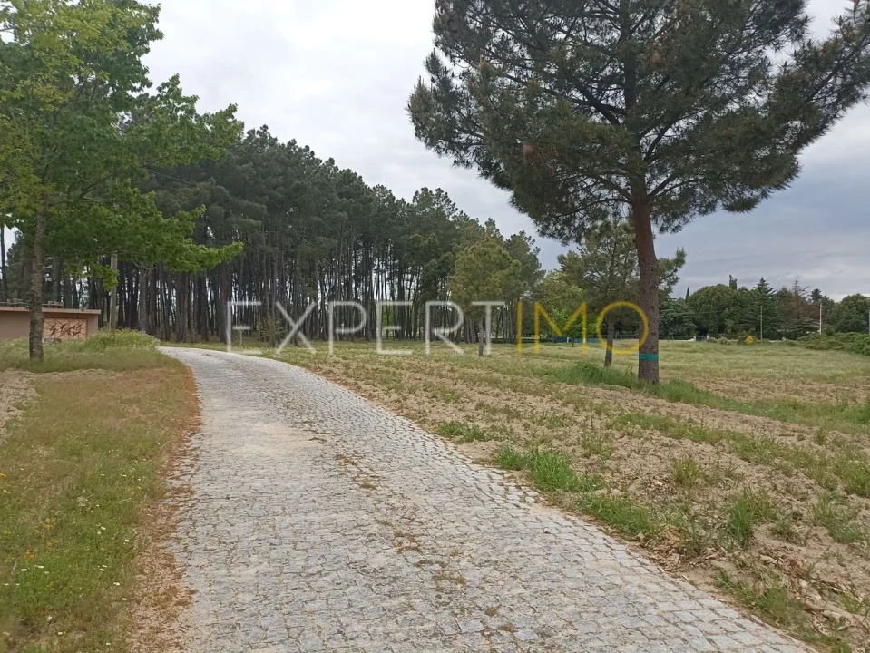 Moradia T8 para Venda em Caria Foto 31