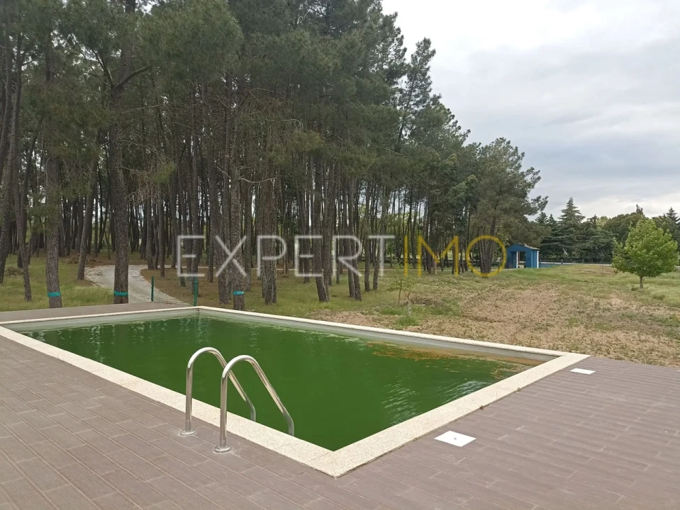 Moradia T8 para Venda em Caria Foto 38