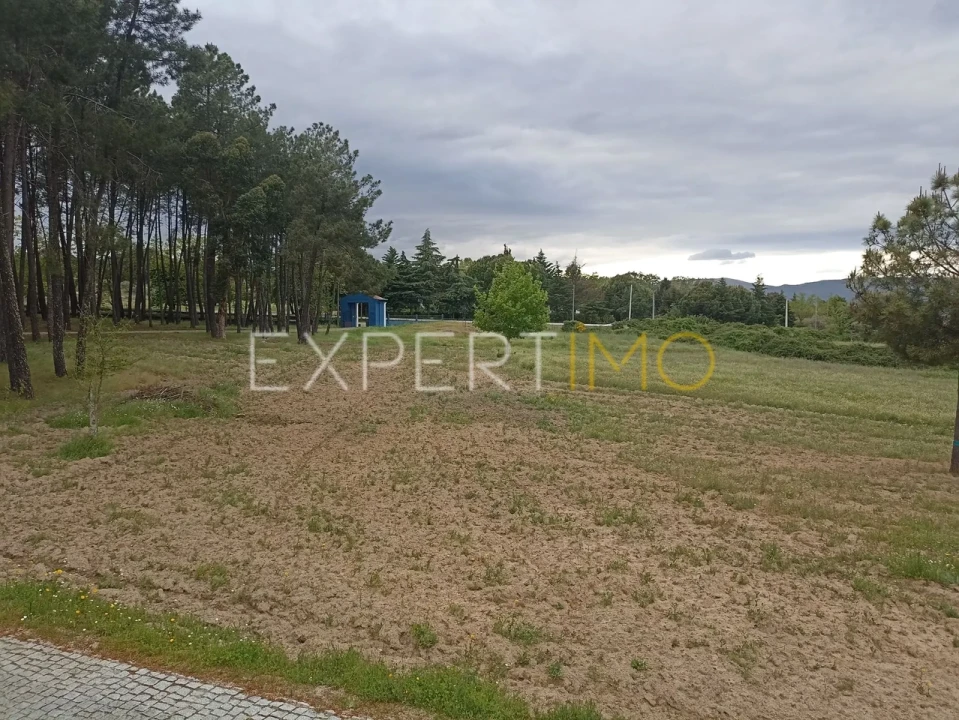 Moradia T8 para Venda em Caria Foto 42