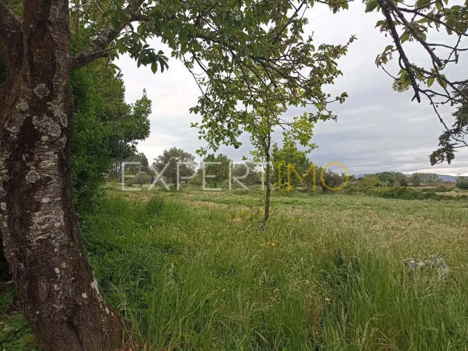 Moradia T8 para Venda em Caria Foto 21