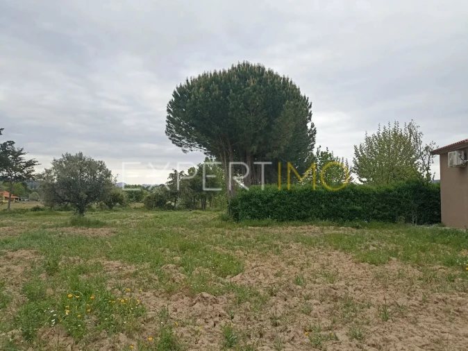 Moradia T8 para Venda em Caria Foto 32