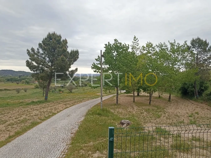 Moradia T8 para Venda em Caria Foto 43