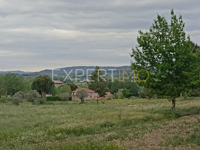 Moradia T8 para Venda em Caria Foto 45