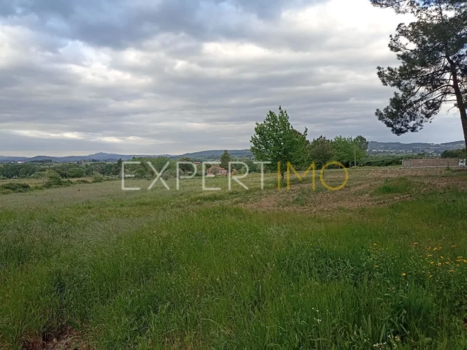 Moradia T8 para Venda em Caria Foto 46