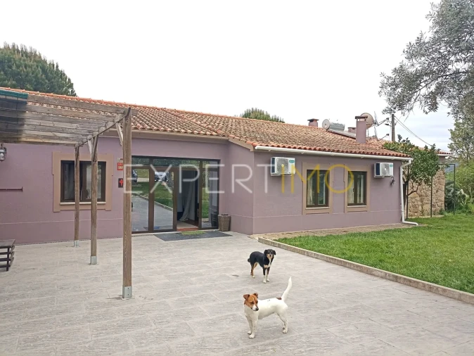 Moradia T8 para Venda em Caria Foto 49