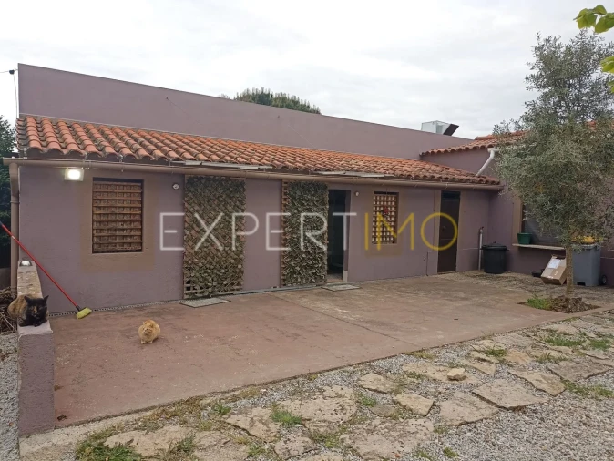 Moradia T8 para Venda em Caria Foto 52