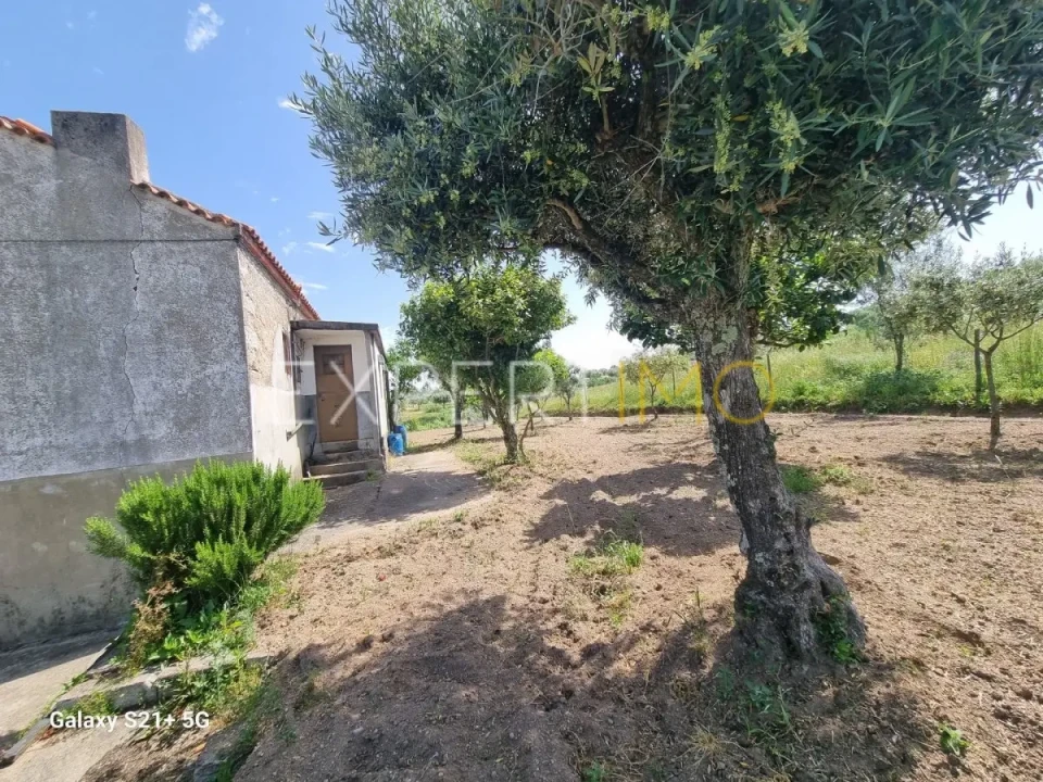 Quinta T3 para Venda em São Paio Foto 11