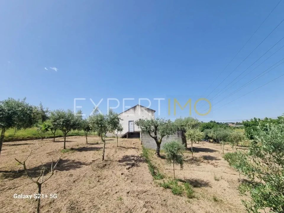 Quinta T3 para Venda em São Paio Foto 13