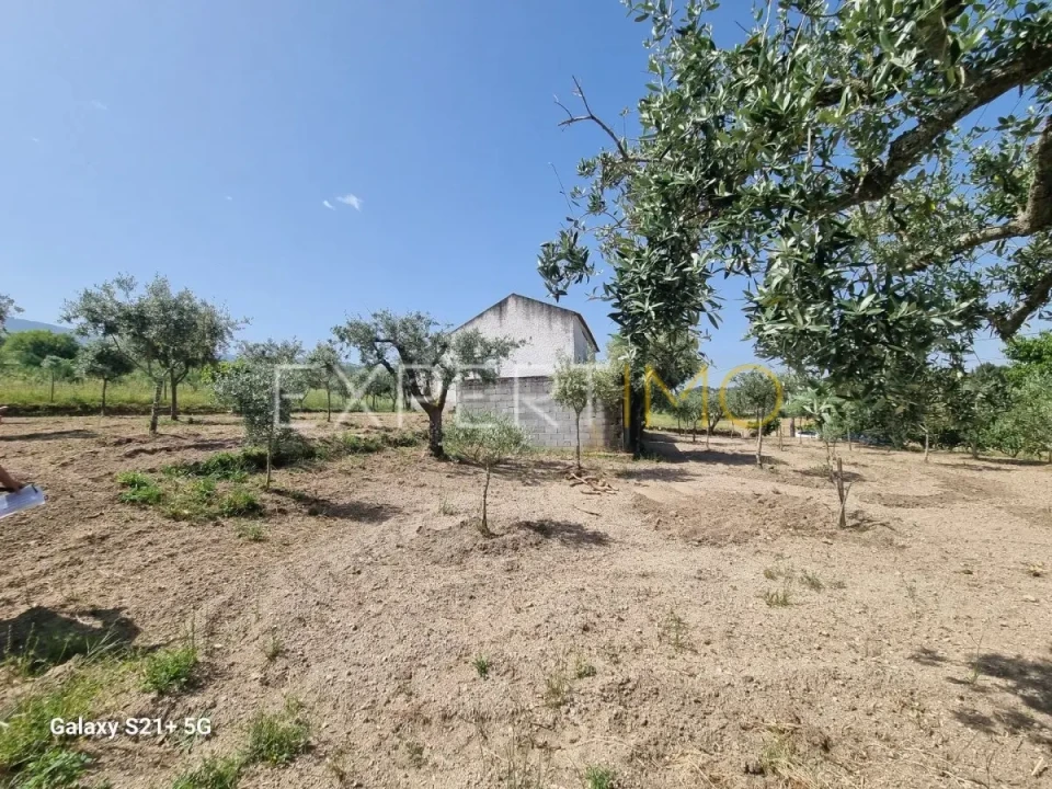 Quinta T3 para Venda em São Paio Foto 14