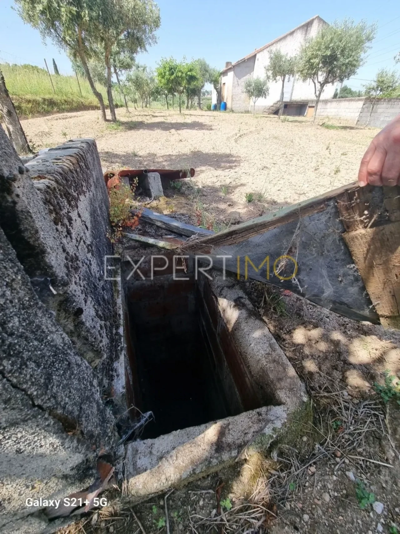 Quinta T3 para Venda em São Paio Foto 16