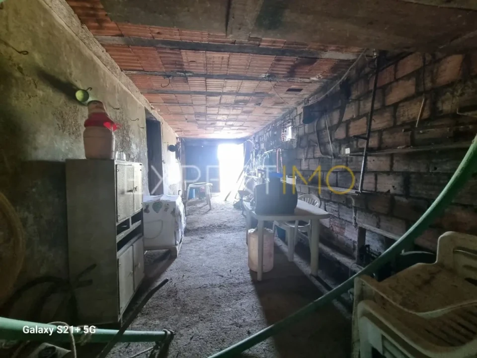 Quinta T3 para Venda em São Paio Foto 25