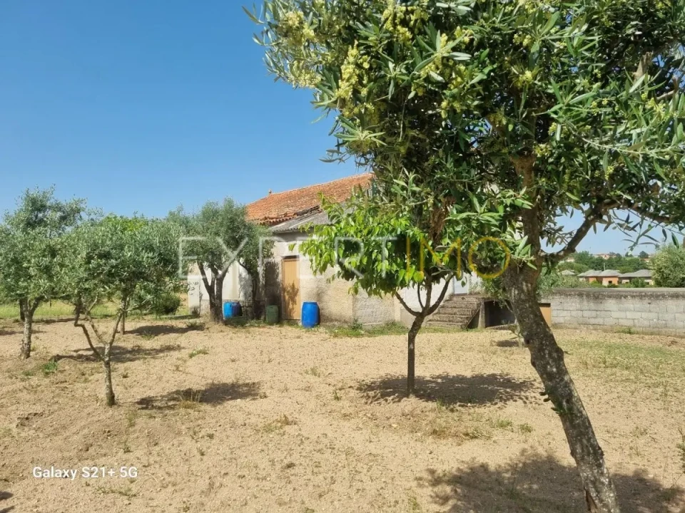 Quinta T3 para Venda em São Paio Foto 3