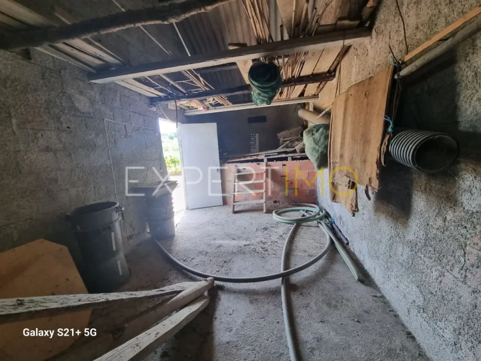 Quinta T3 para Venda em São Paio Foto 33