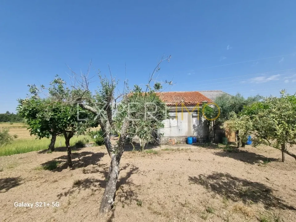 Quinta T3 para Venda em São Paio Foto 4