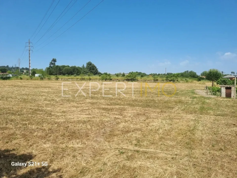 Quinta T3 para Venda em São Paio Foto 40