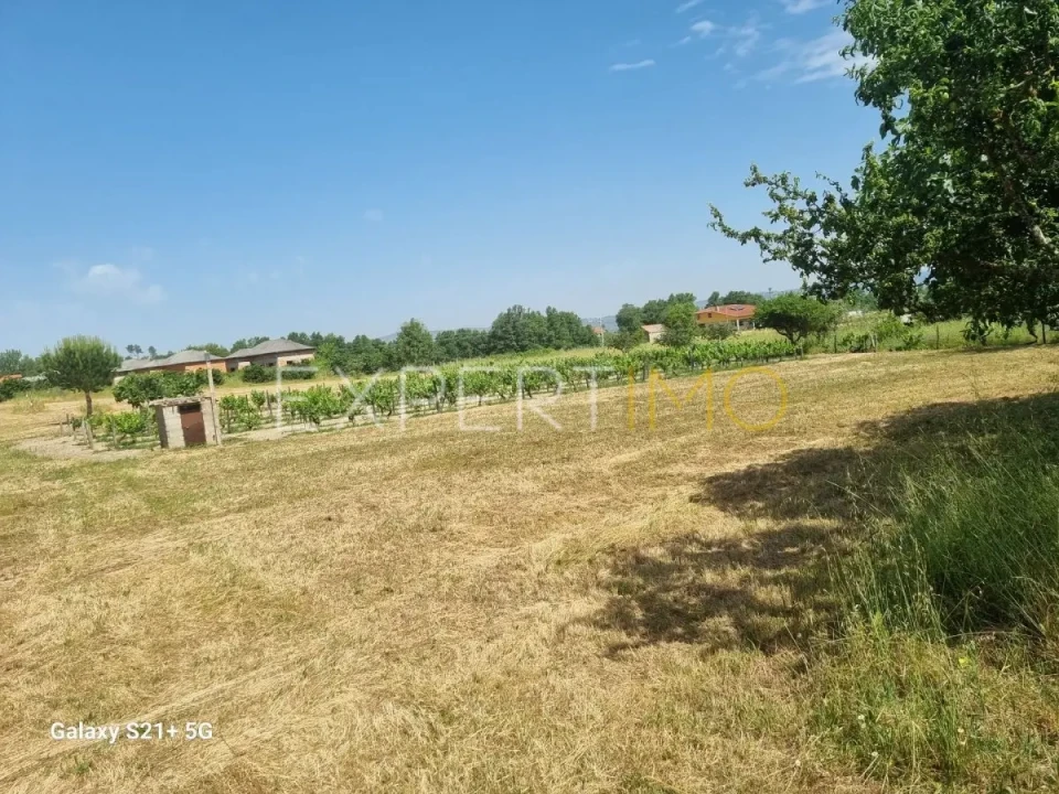 Quinta T3 para Venda em São Paio Foto 41