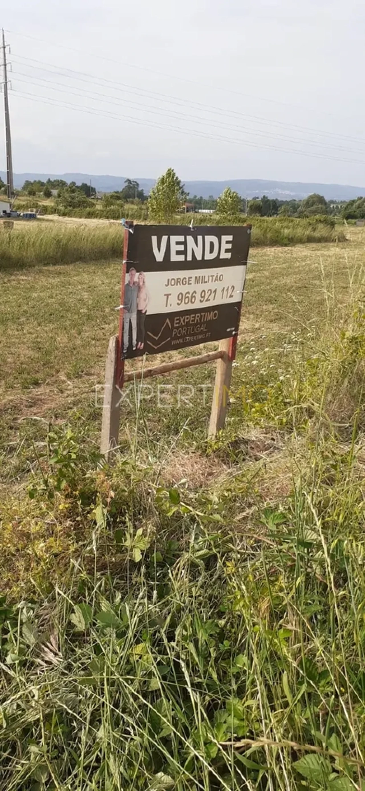 Quinta T3 para Venda em São Paio Foto 42