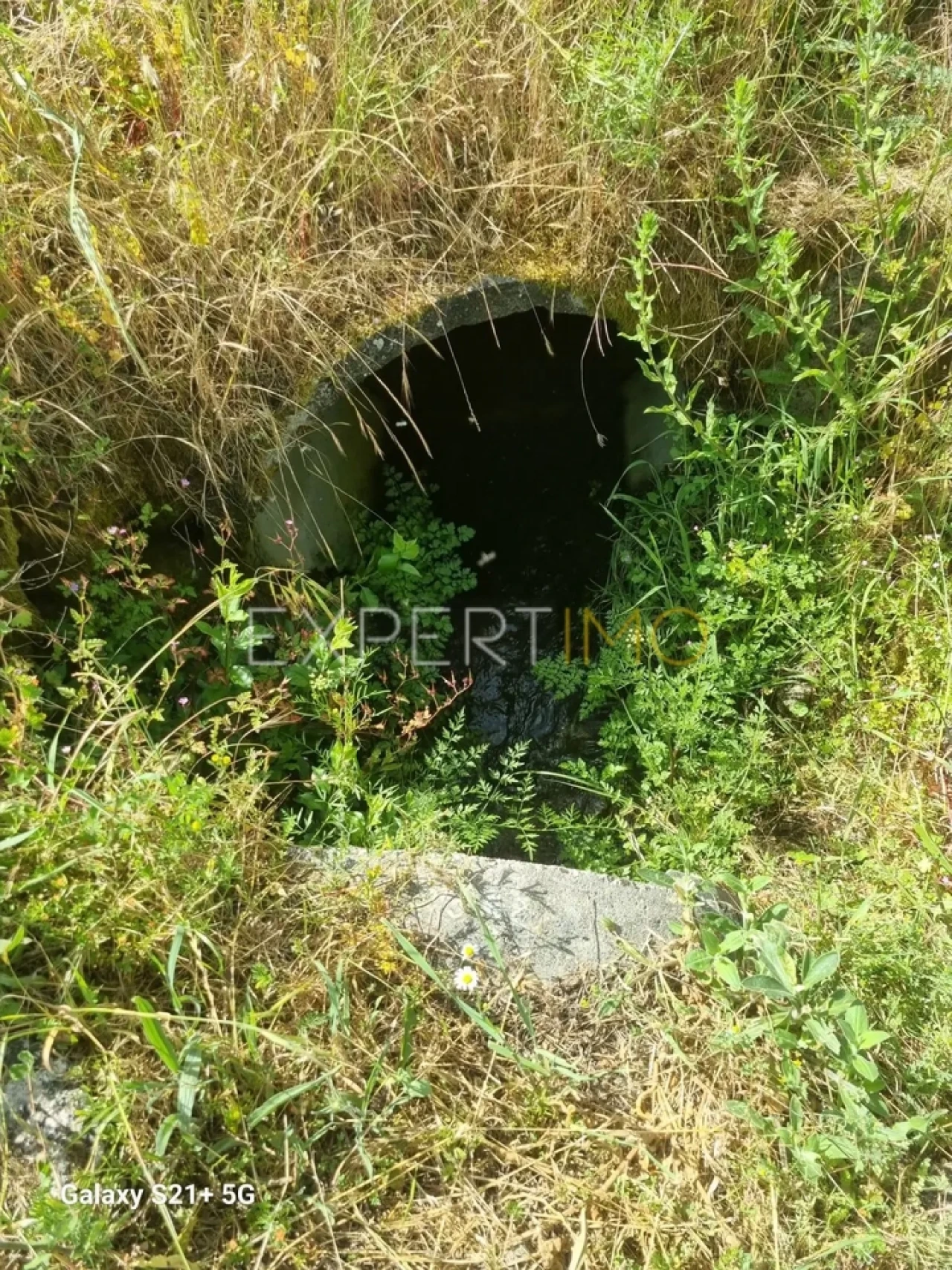 Quinta T3 para Venda em São Paio Foto 43