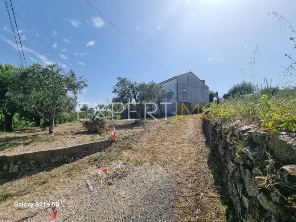 Quinta T3 para Venda em São Paio Foto 6