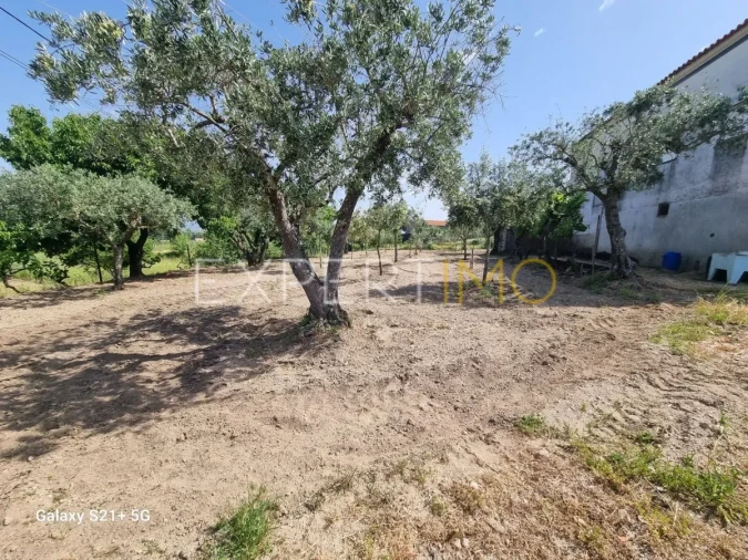 Quinta T3 para Venda em São Paio Foto 10